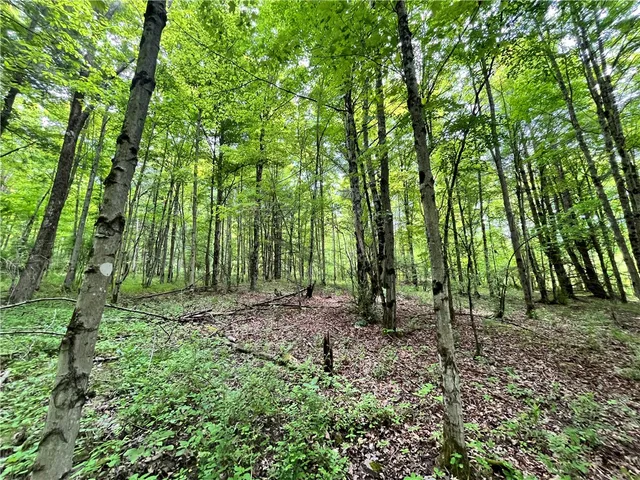 $189,900 | 0 East Spencer Road, Spencer, NY 14883