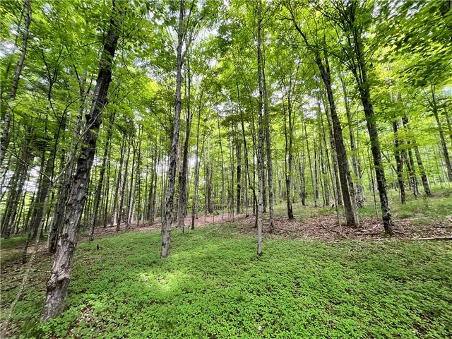 $189,900 | 0 East Spencer Road, Spencer, NY 14883