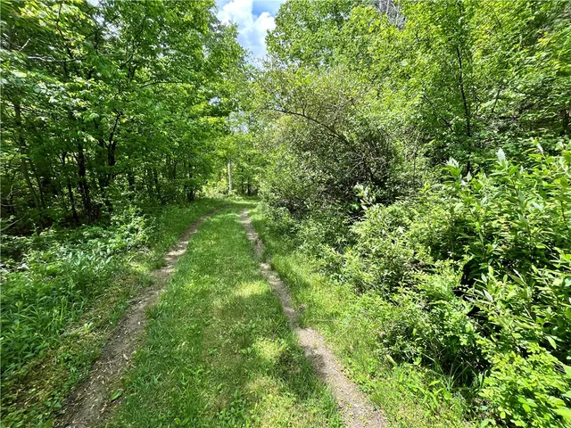 $189,900 | 0 East Spencer Road, Spencer, NY 14883