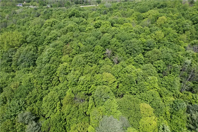 $189,900 | 0 East Spencer Road, Spencer, NY 14883