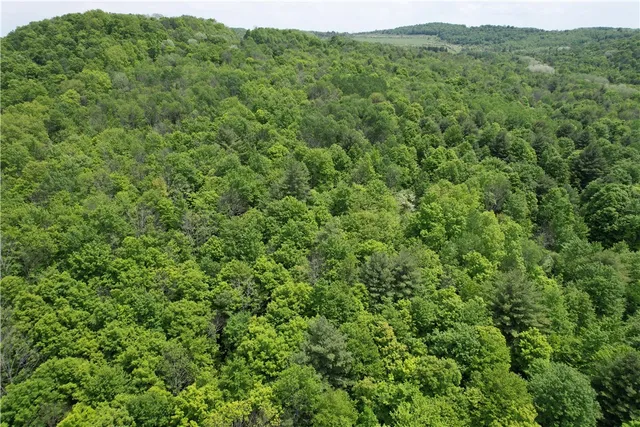 $189,900 | 0 East Spencer Road, Spencer, NY 14883