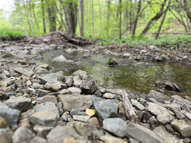 $189,900 | 0 East Spencer Road, Spencer, NY 14883