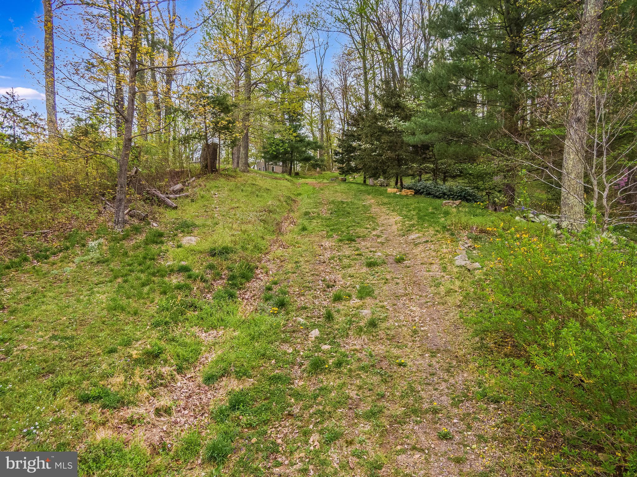 0 Intervale Road Culpeper, VA 22701 - Photo 9 of 11 Gallery Image 9