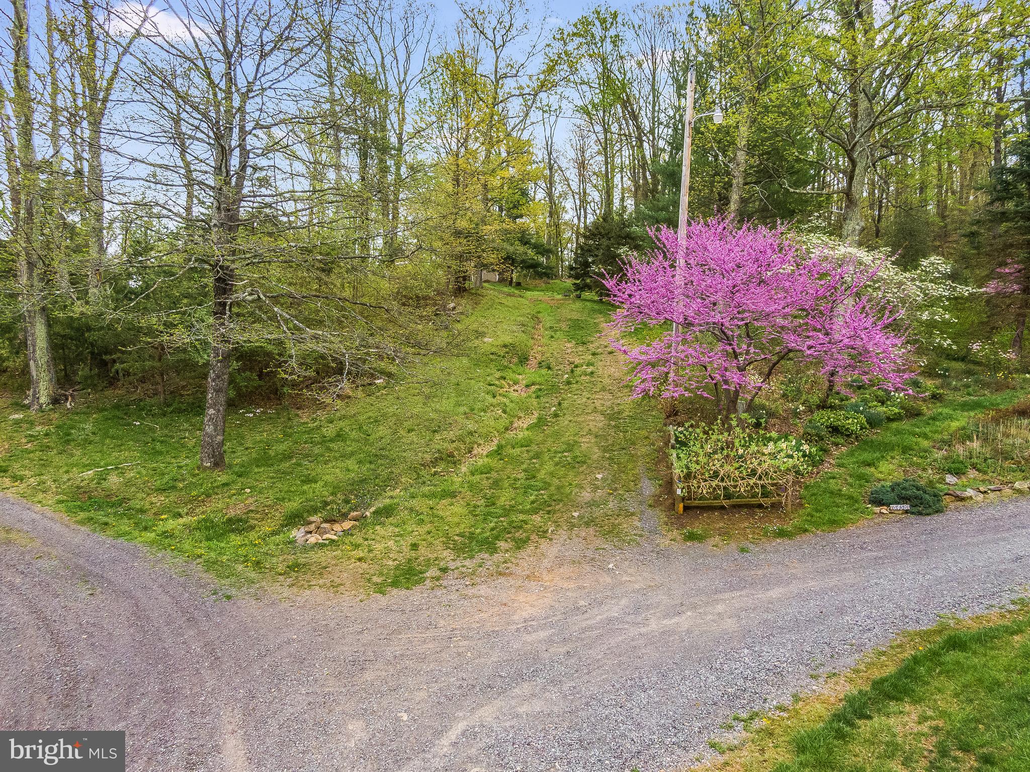 0 Intervale Road Culpeper, VA 22701 - Photo 10 of 11 Gallery Image 10