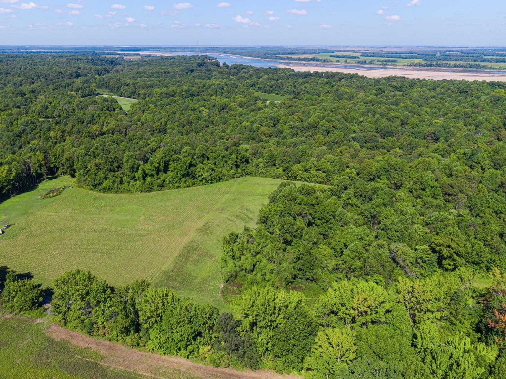 0 Dolan Road Drummonds, TN 38023 - Photo 5 of 10 Aerial view of a large body of water and a forest