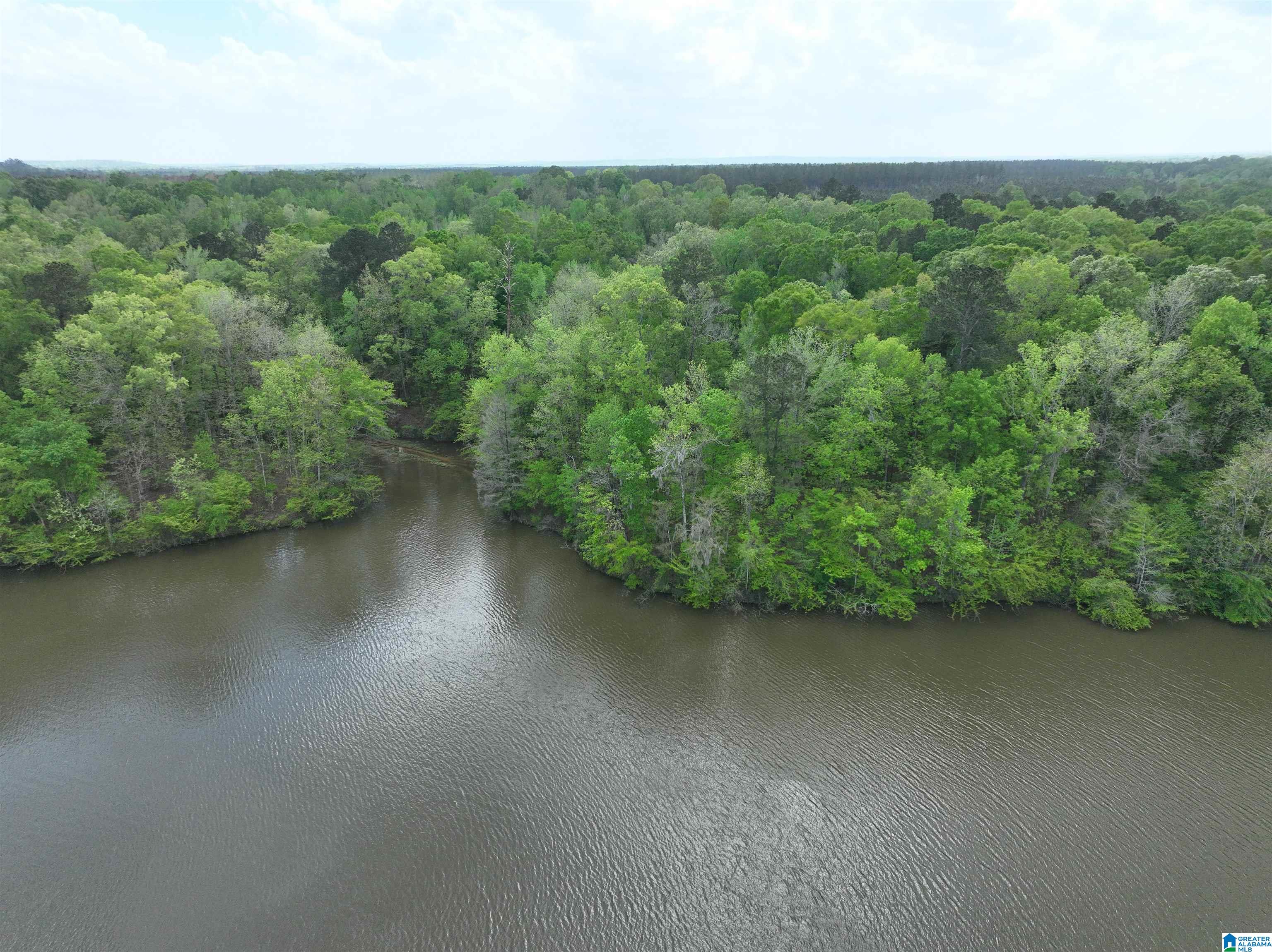 0 County Road 225, Unit 1 Minter, AL 36761 - Photo 4 of 9