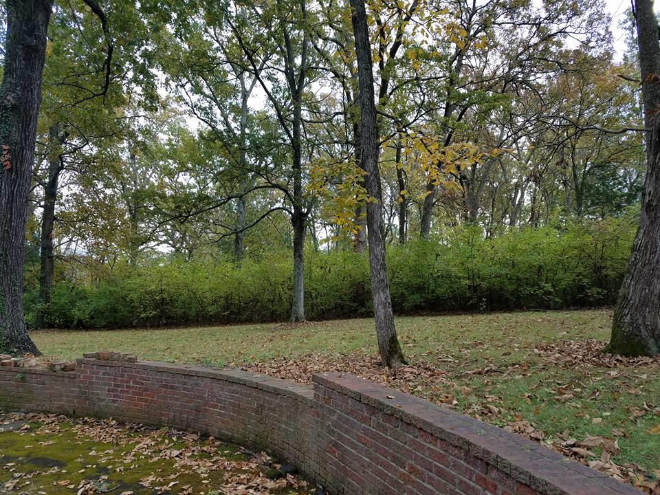 772 Newberry Road Nashville, TN 37205 - Photo 20 of 20 Gallery Image 20