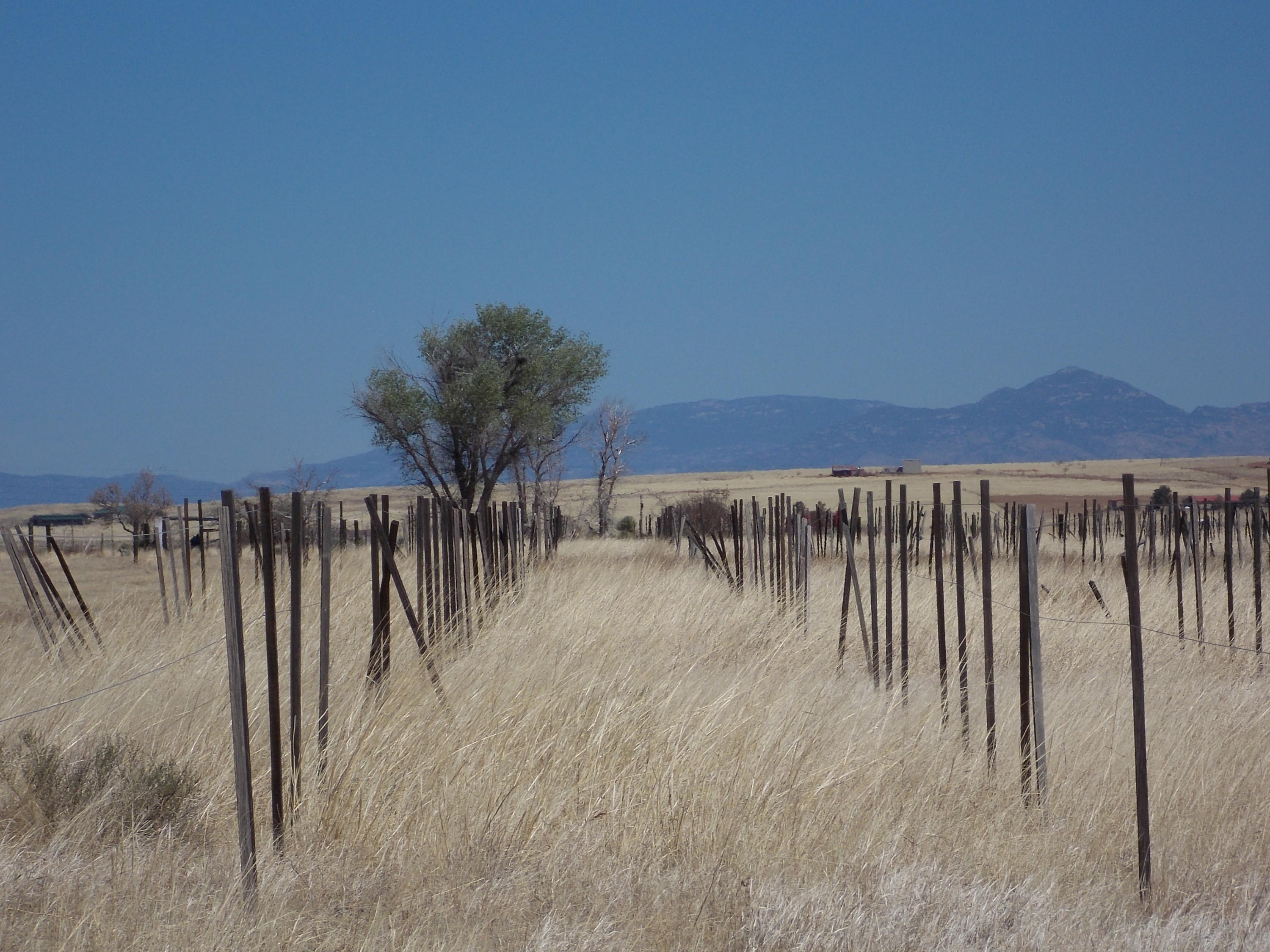 0 Upper Elgin Road Elgin, AZ 85611 - Photo 9 of 13