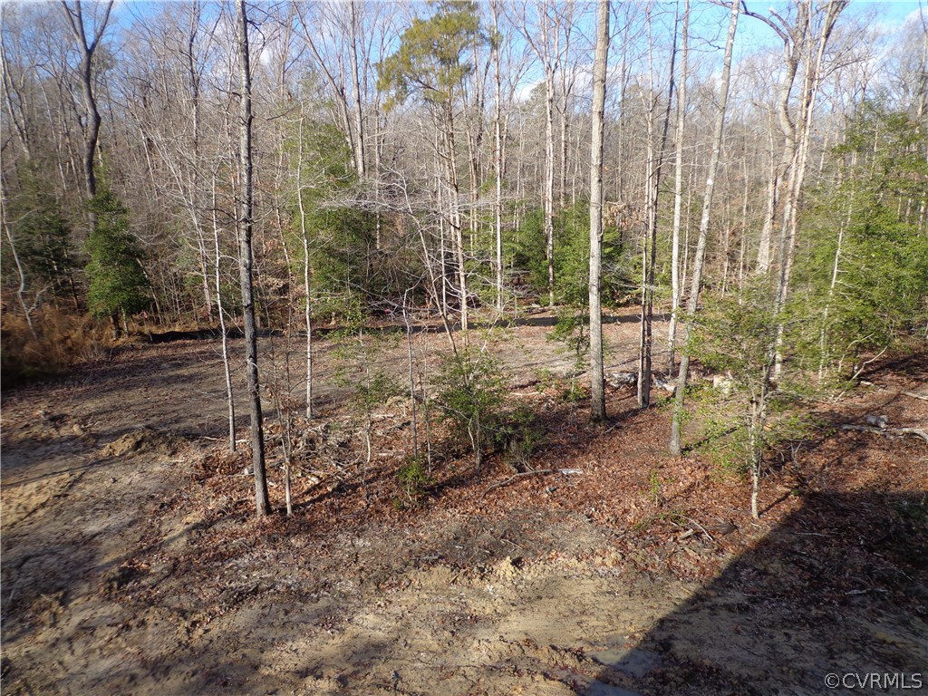 9401 Qualla Road Chesterfield, VA 23832 - Photo 3 of 8