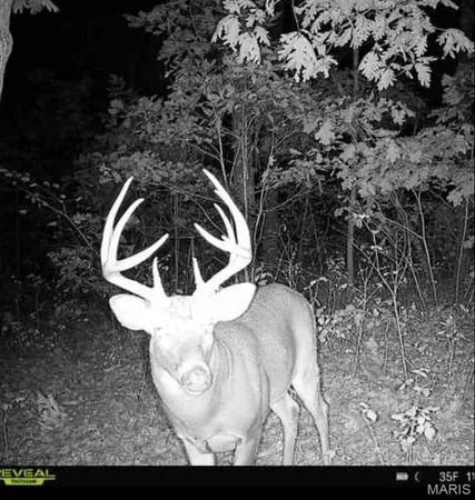 $309,900 | 25847 Pendleton Forest Road, Warrenton, MO 63383