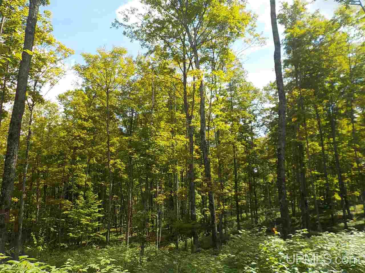 80-ac Mcclaren Road Crystal Falls, MI 49920 - Photo 21 of 27