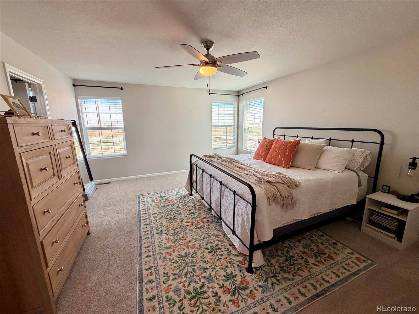 3490 Raintree Lane Dacono, CO 80514 - Photo 12 of 20