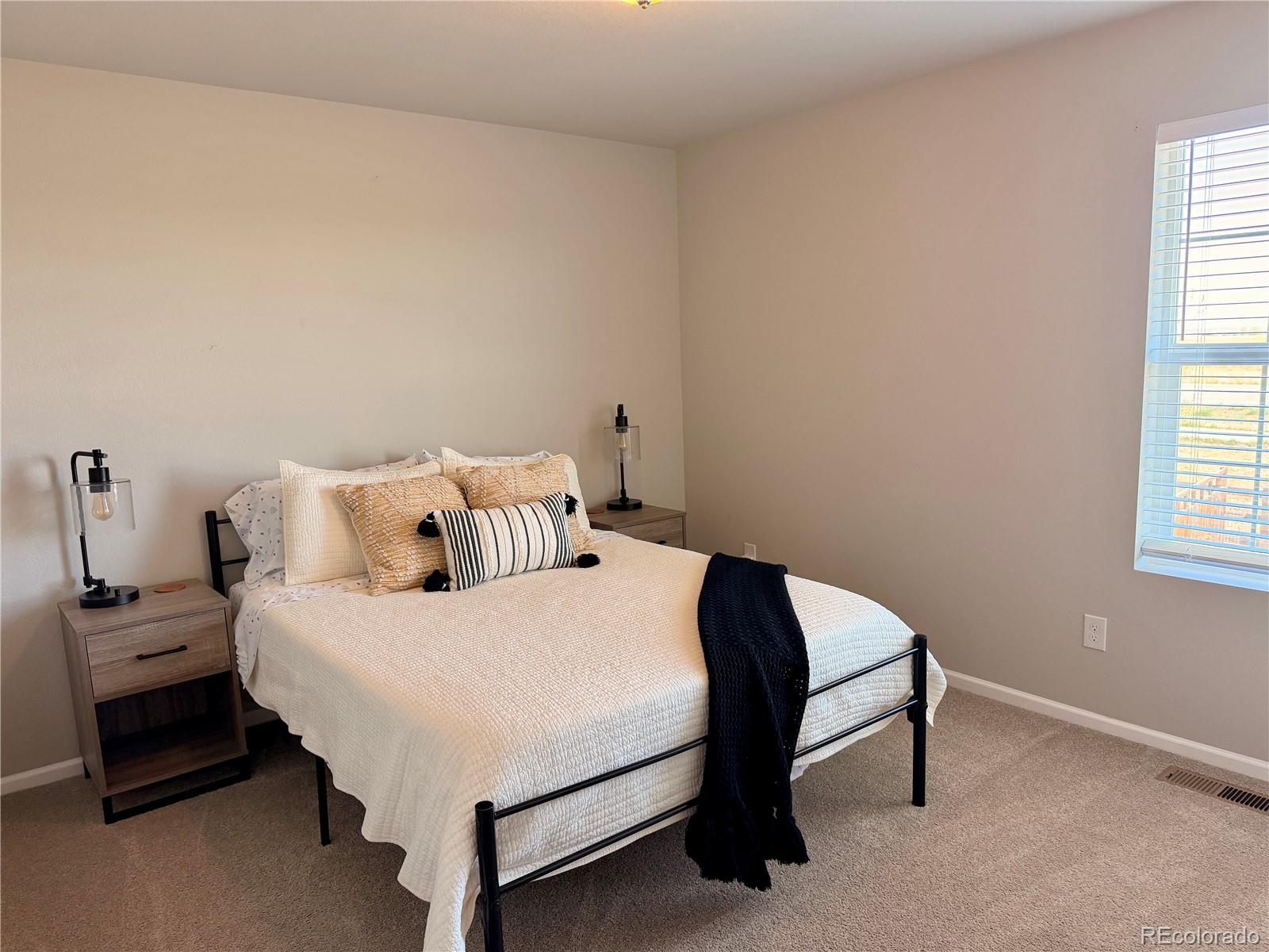 3490 Raintree Lane Dacono, CO 80514 - Photo 18 of 20