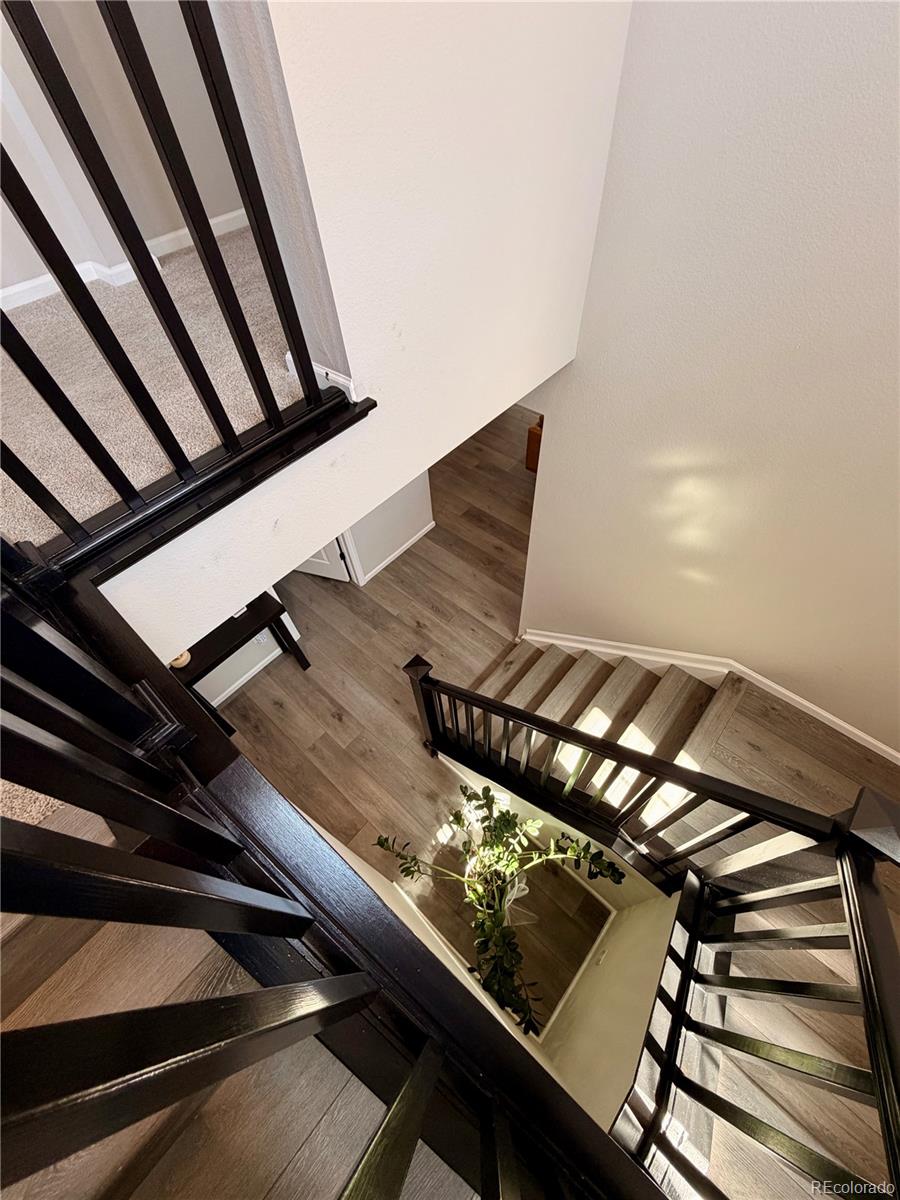 3490 Raintree Lane Dacono, CO 80514 - Photo 10 of 20