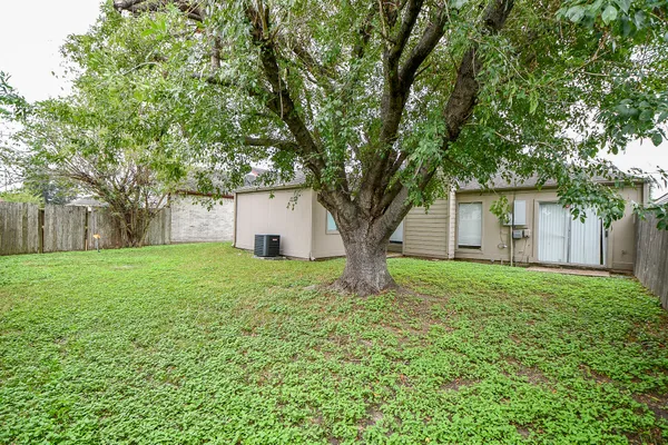 a view of a backyard with a large tree