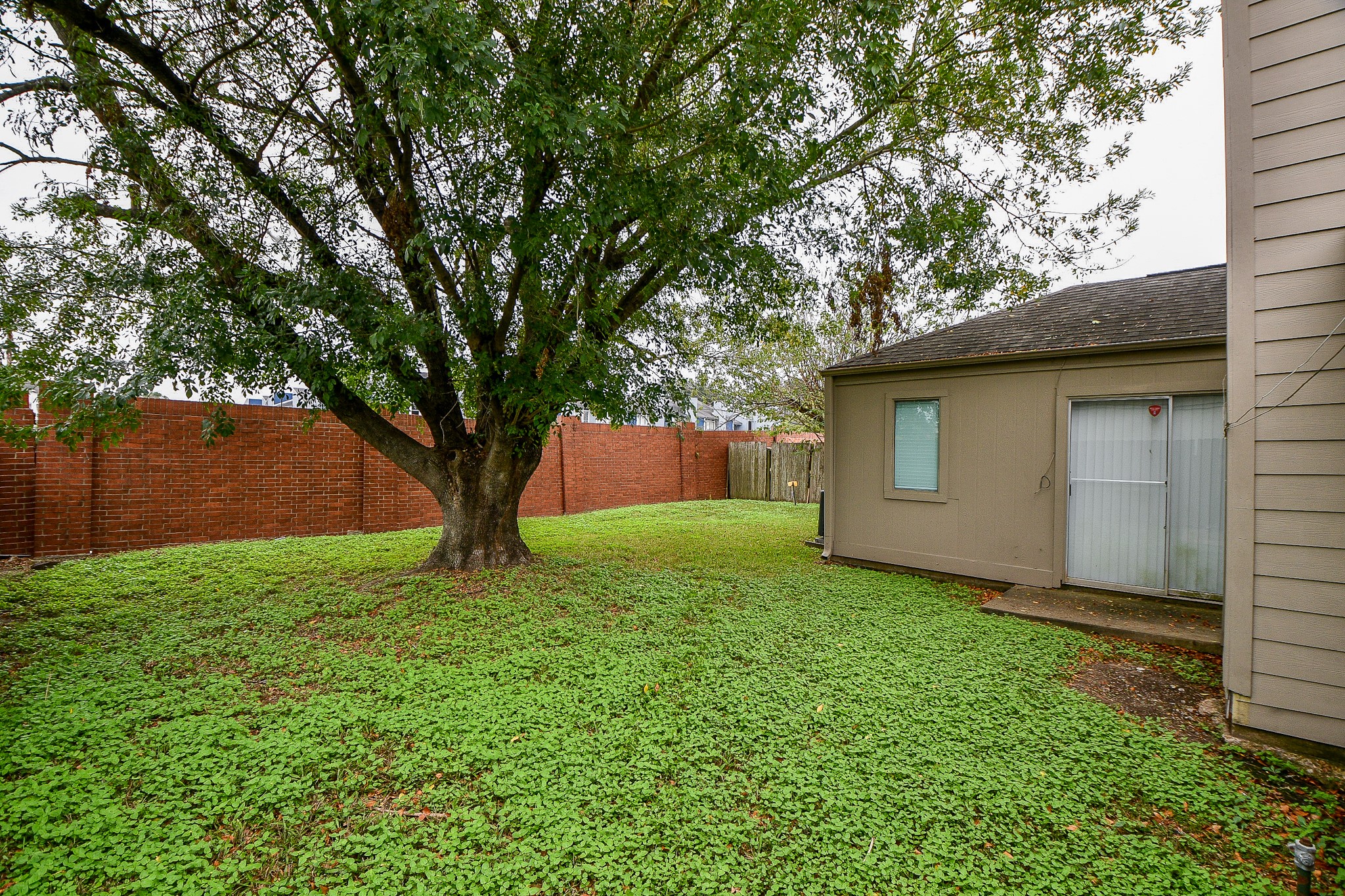 11411 Pepperdine Lane Houston, TX 77071 - Photo 31 of 31 a view of a backyard with a large tree