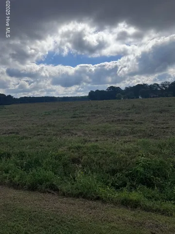 $50,000 | 0 Fulton Avenue, Bath, NC 27808