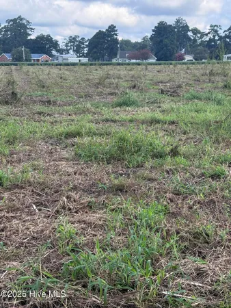 $50,000 | 0 Fulton Avenue, Bath, NC 27808