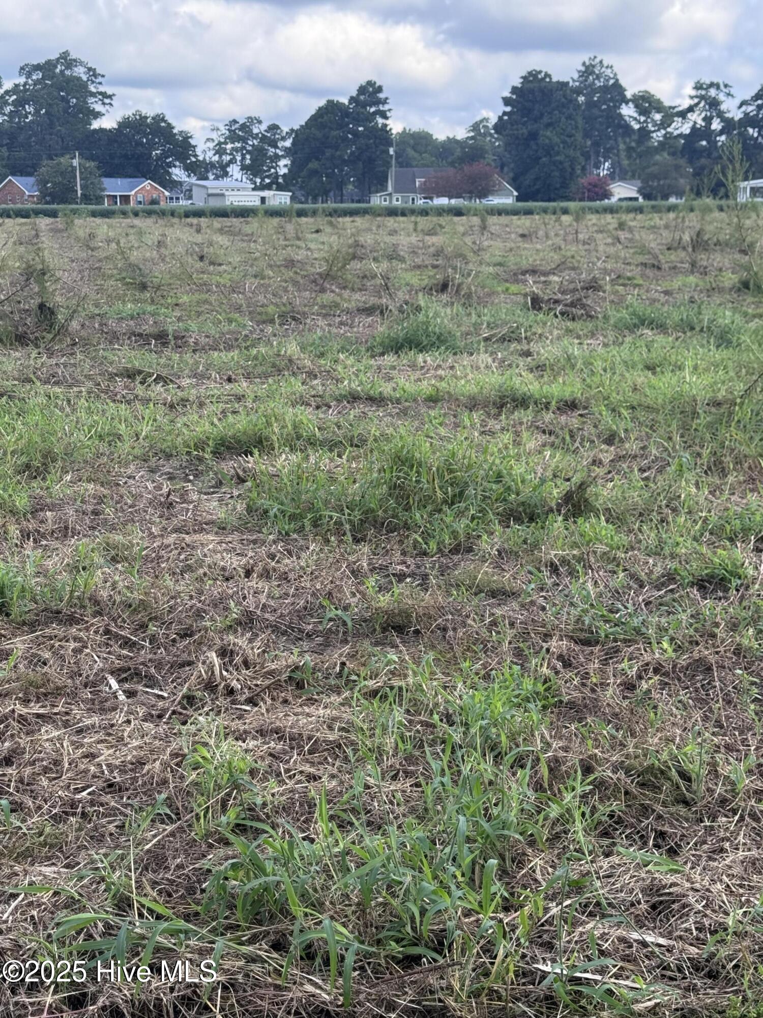 0 Fulton Avenue Bath, NC 27808 - Photo 3 of 6 IMG_3433