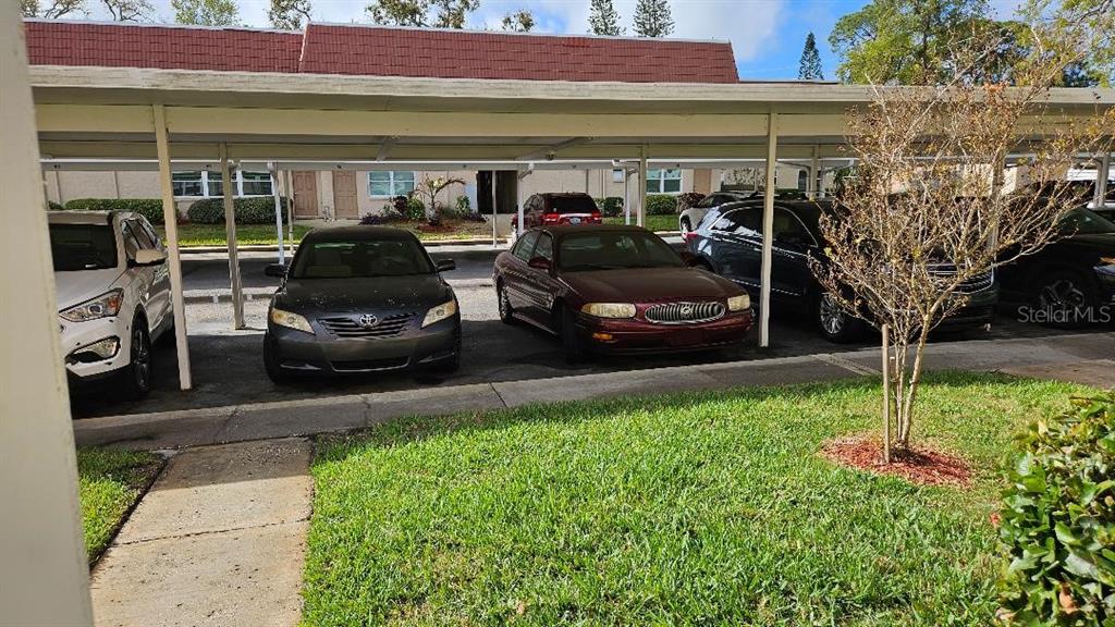 10035 63rd Avenue North, Unit 6 St. Petersburg, FL 33708 - Photo 5 of 24