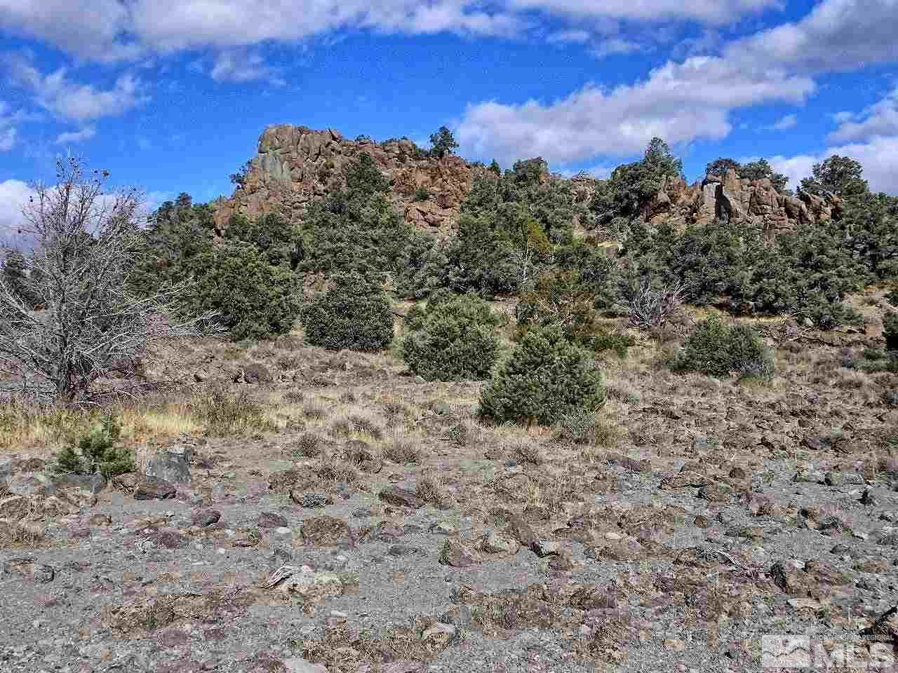 4160 Palisade Road, Unit 416 Reno, NV 89521 - Photo 4 of 11 a view of a dry yard with trees