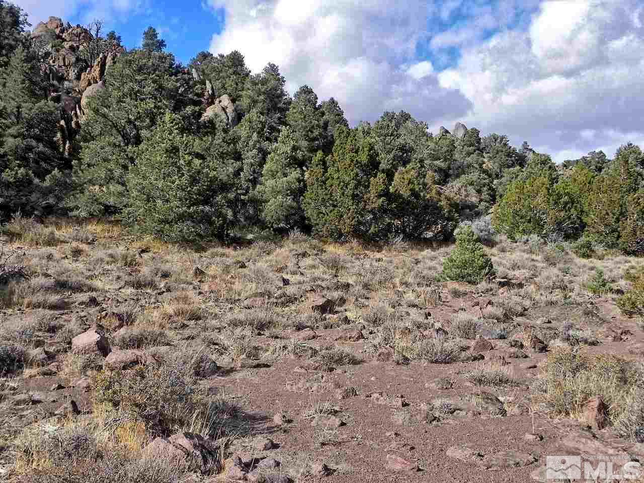 4160 Palisade Road, Unit 416 Reno, NV 89521 - Photo 5 of 11 a view of a dry yard with trees