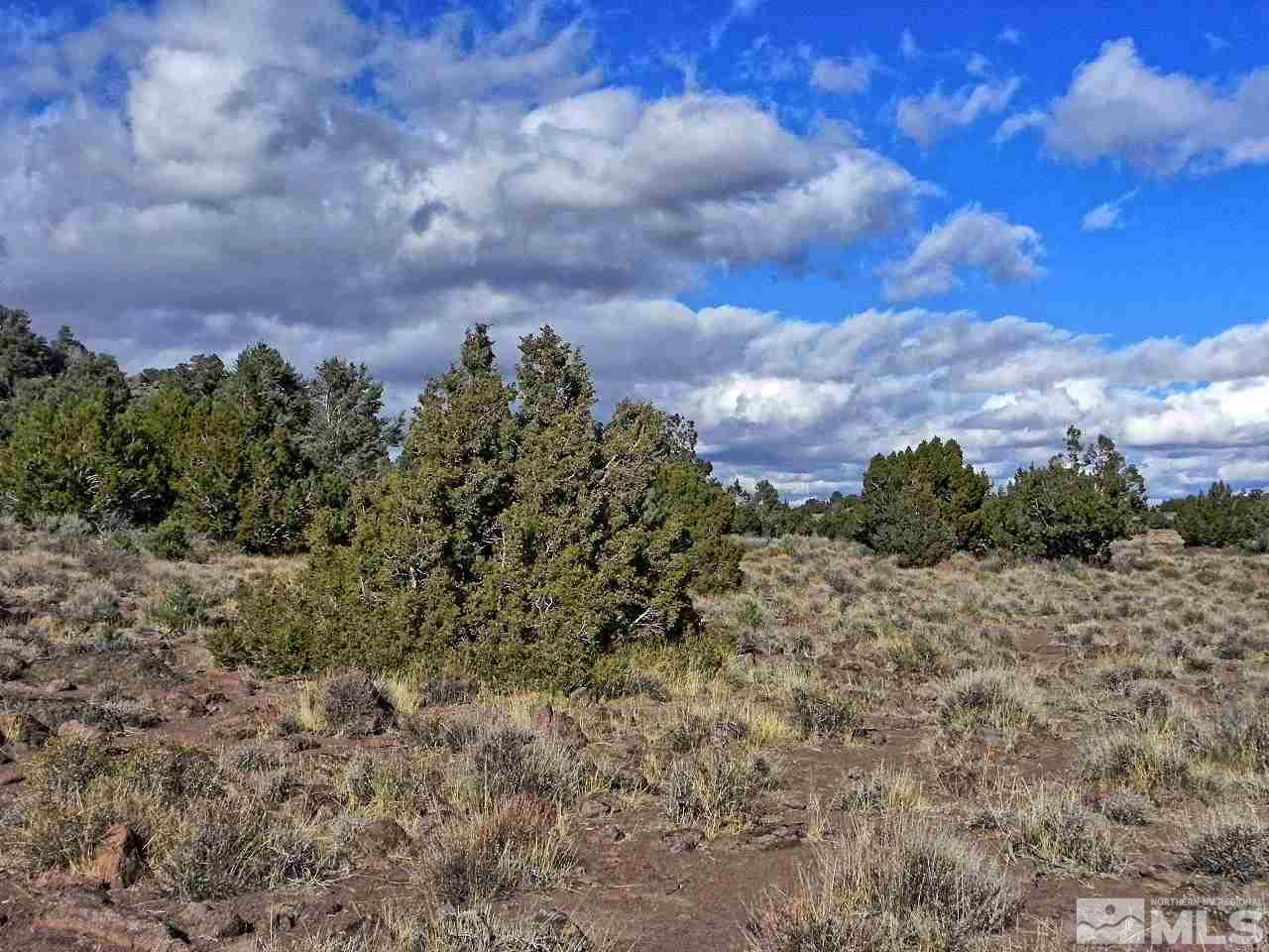 4160 Palisade Road, Unit 416 Reno, NV 89521 - Photo 6 of 11 a view of a dry yard with lots of trees