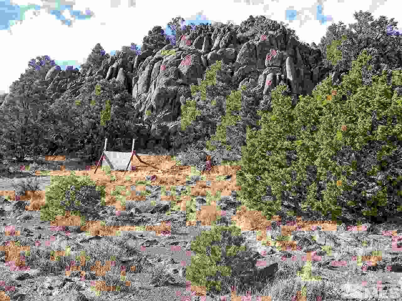 4160 Palisade Road, Unit 416 Reno, NV 89521 - Photo 8 of 11 a view of a tree with a tree