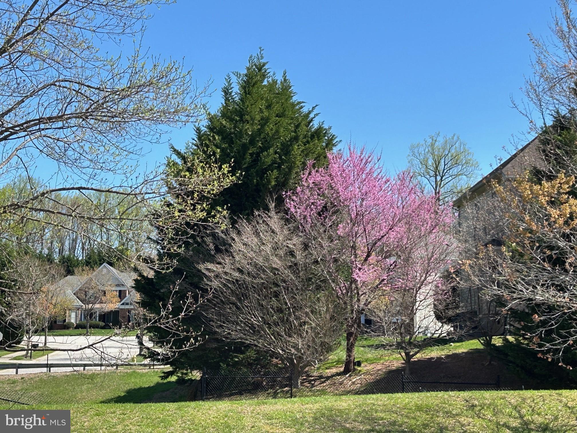 512 Callander Way Abingdon, MD 21009 - Photo 6 of 40 a view of a outdoor space