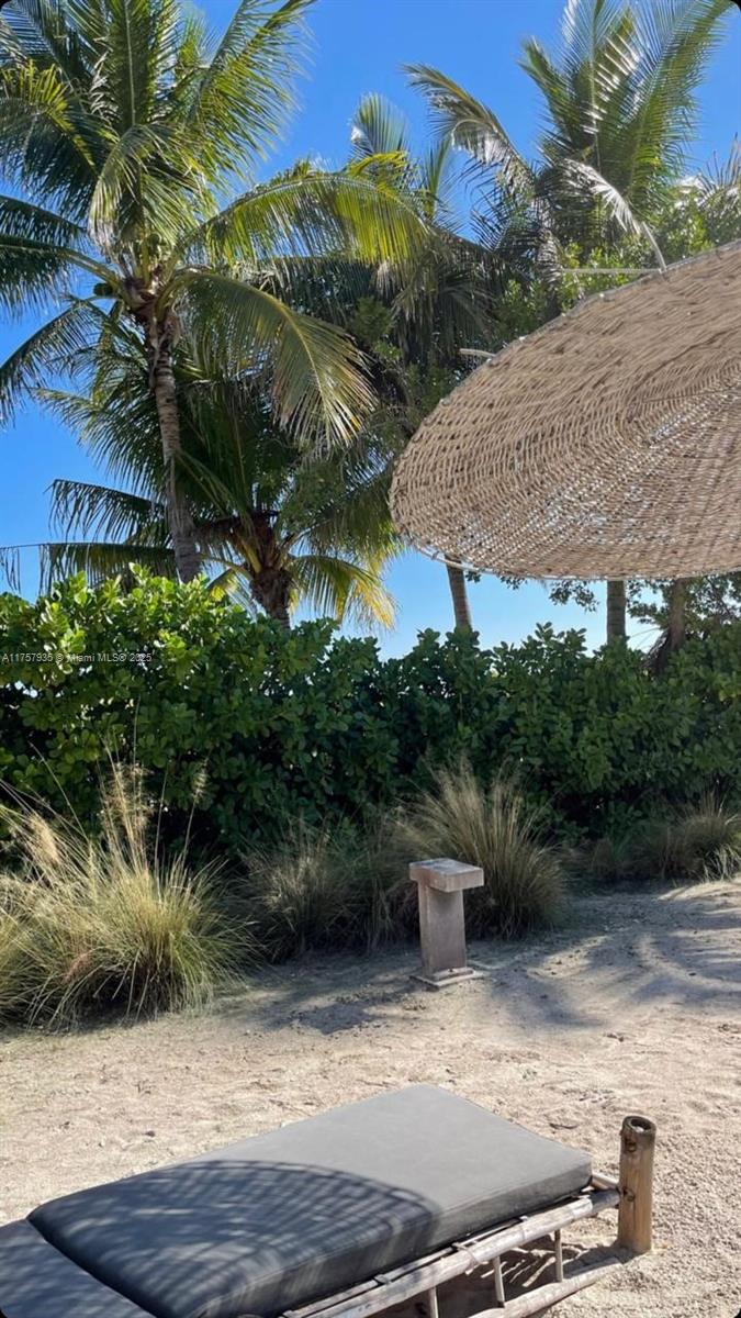 2301 Collins Avenue, Unit 921 Miami Beach, FL 33139 - Photo 28 of 45 a view of a backyard