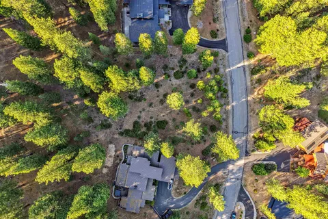 a view of a forest with trees in front of it