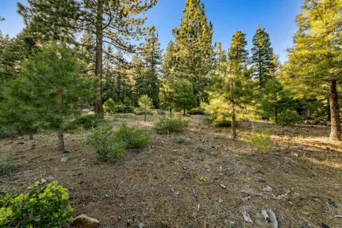 a backyard of a house with lots of trees
