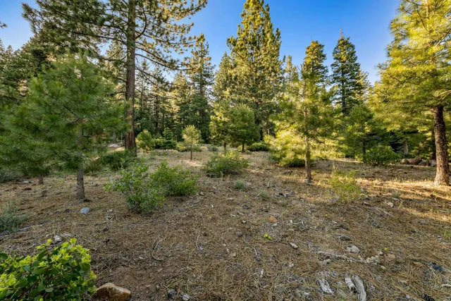 a backyard of a house with lots of trees