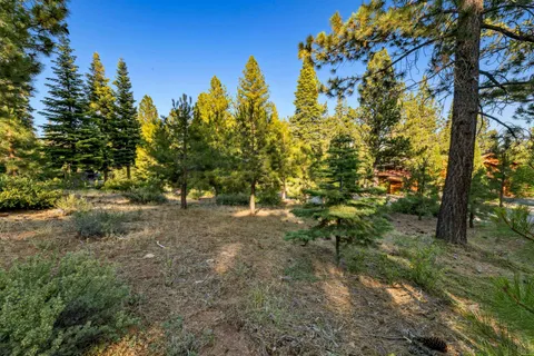 a view of a dirt road with trees in the background