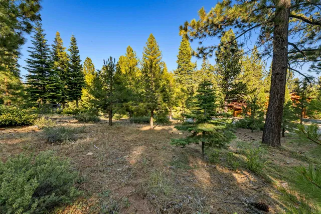 a view of a dirt road with trees in the background