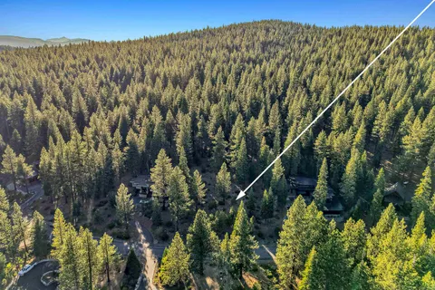 a view of a building with a lush green forest
