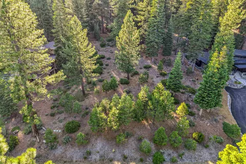 a view of a garden with plants and trees