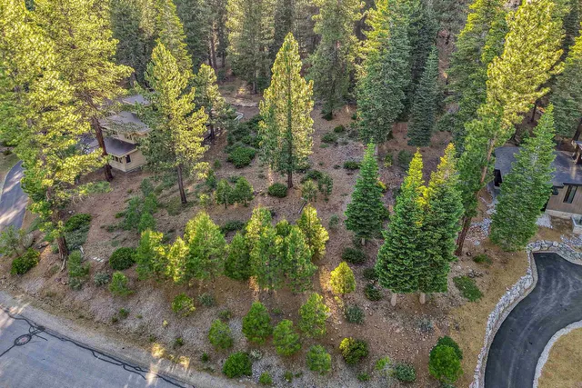 a view of a city with lush green forest