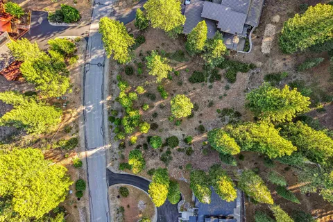 a big yard with lots of green space and plants