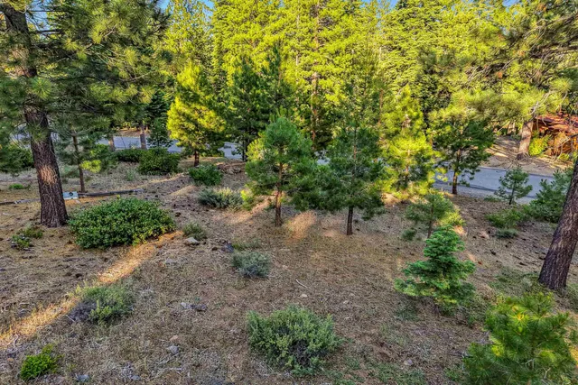 a picture of flowers