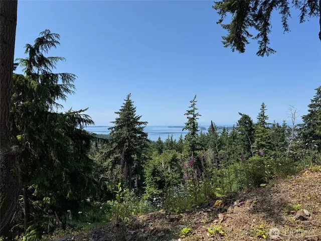 $349,000 | 540 Wright Road, Orcas Island, WA 98245