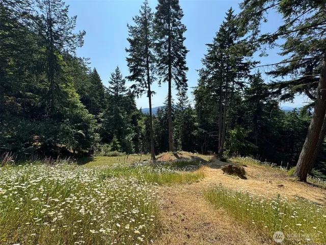 $349,000 | 540 Wright Road, Orcas Island, WA 98245