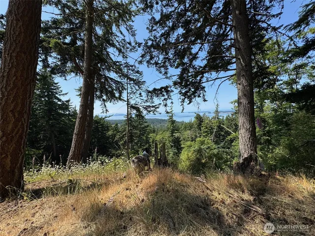 $349,000 | 540 Wright Road, Orcas Island, WA 98245