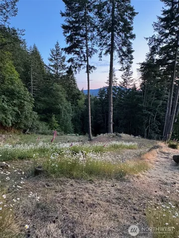 $349,000 | 540 Wright Road, Orcas Island, WA 98245