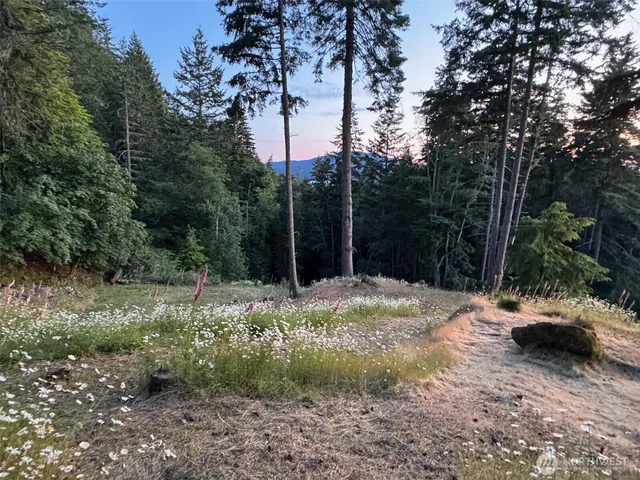 $349,000 | 540 Wright Road, Orcas Island, WA 98245