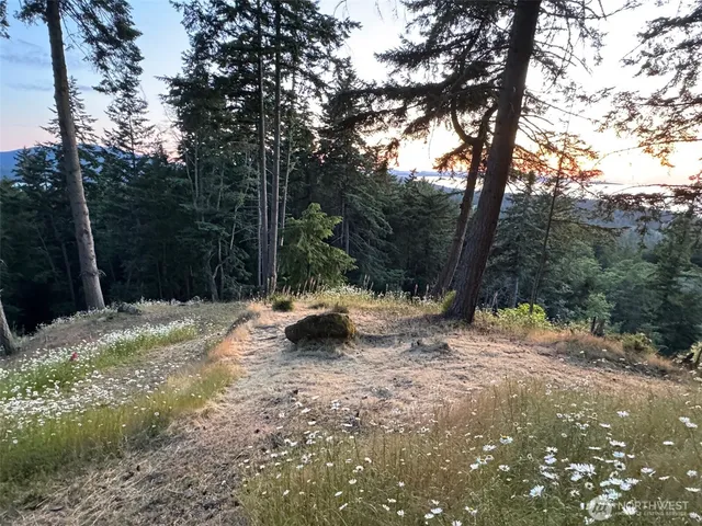 $349,000 | 540 Wright Road, Orcas Island, WA 98245