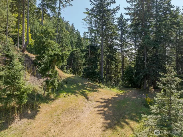 $349,000 | 540 Wright Road, Orcas Island, WA 98245