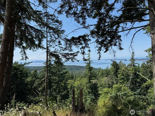 $349,000 | 540 Wright Road, Orcas Island, WA 98245