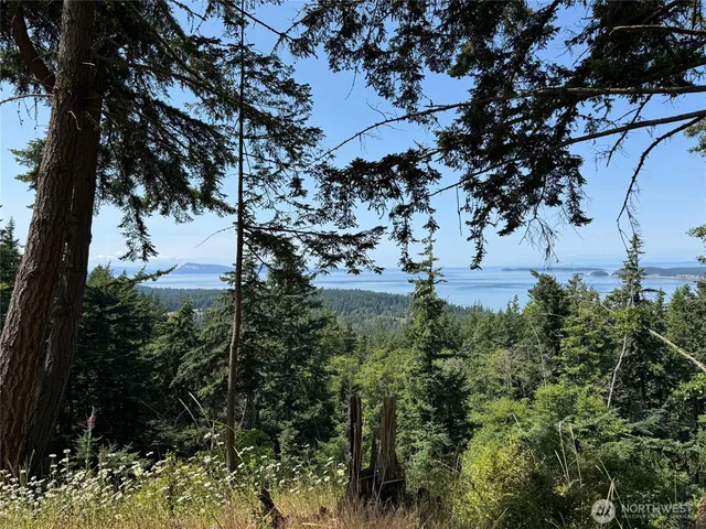 $349,000 | 540 Wright Road, Orcas Island, WA 98245