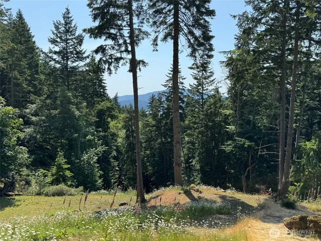 $349,000 | 540 Wright Road, Orcas Island, WA 98245